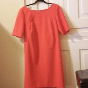 Ann Taylor Coral Straight Business dress